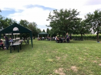  - Cantina Cunial - Azienda Agrcola Cà Bonetto