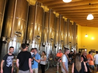  - Cantina Cunial - Azienda Agrcola Cà Bonetto