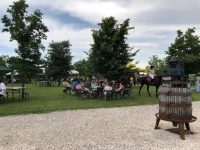  - Cantina Cunial - Azienda Agrcola Cà Bonetto