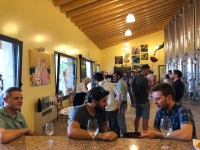  - Cantina Cunial - Azienda Agrcola Cà Bonetto