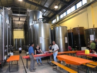  - Cantina Cunial - Azienda Agrcola Cà Bonetto