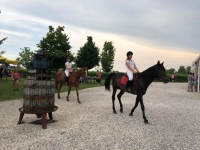  - Cantina Cunial - Azienda Agrcola Cà Bonetto